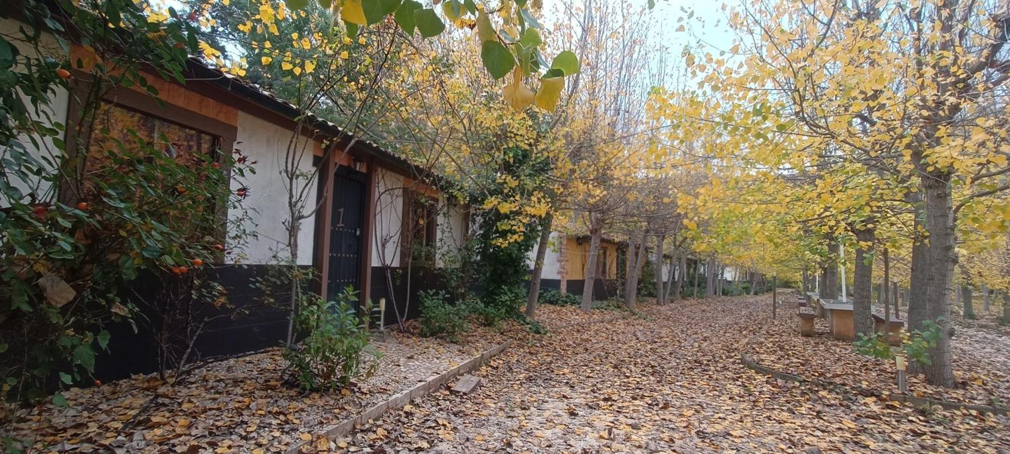 Casas Rurales Vado Del Rio Tus Cortijo Prados Bagian luar foto