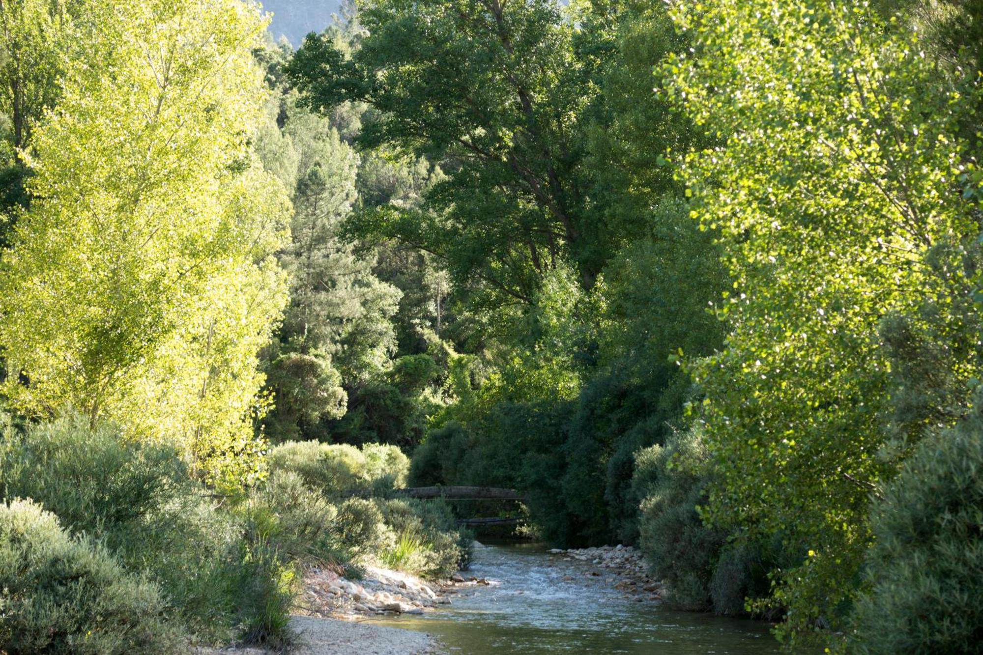 Casas Rurales Vado Del Rio Tus Cortijo Prados Bagian luar foto