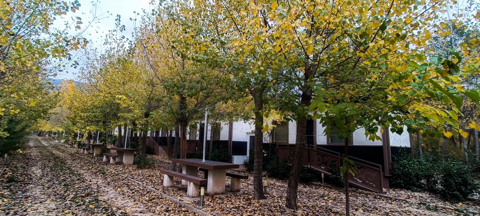Casas Rurales Vado Del Rio Tus Cortijo Prados Bagian luar foto