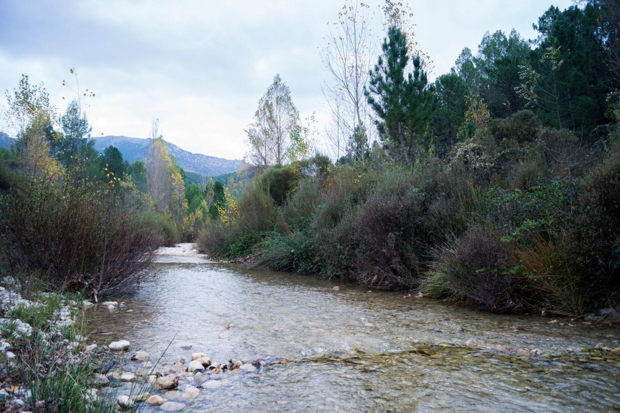Casas Rurales Vado Del Rio Tus Cortijo Prados Bagian luar foto